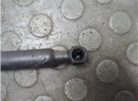 654705025R Амортизатор капота Renault Arkana 20845324 #2