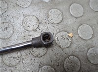 654705025R Амортизатор капота Renault Arkana 20845324 #3