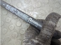 654705025R Амортизатор капота Renault Arkana 20845324 #4