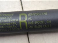 654706377R Амортизатор капота Renault Koleos 2016- 20845527 #5