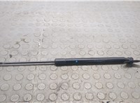 5N0827550D Амортизатор крышки багажника Volkswagen Tiguan 2011-2018 20845722 #4