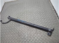 51247200543, 7200543 Амортизатор крышки багажника BMW 5 F07 Gran Turismo 2010-2017 20855690 #1