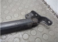 51247200543, 7200543 Амортизатор крышки багажника BMW 5 F07 Gran Turismo 2010-2017 20855690 #4
