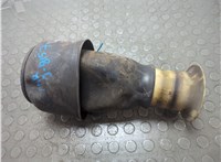 37106781843, 6781843 Пневмоподушка BMW 5 F07 Gran Turismo 2010-2017 20855975 #1