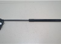 534400W220 Амортизатор капота Toyota Land Cruiser Prado (150) - 2009-2020 20856092 #5