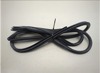  Уплотнитель Toyota Camry XV70 2017-2021 20856176 #2