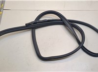  Уплотнитель Toyota Land Cruiser Prado (150) - 2009-2020 20857586 #1