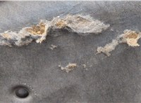  Обшивка капота Honda Accord 7 2003-2007 11640244 #3