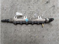  Рампа (рейка) топливная Renault Laguna 3 2007-2015 20858207 #12