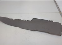 1162931ZJ8AD Пластик центральной консоли Chrysler 300C 2004-2011 20858835 #1
