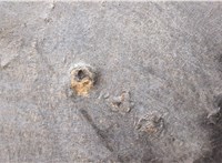  Обшивка капота Honda Accord 7 2003-2007 11641217 #9