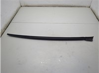 51317427874, 7427874 Молдинг стекла (лобовое) BMW 3 G20, G21 2018-2025 20861662 #1