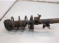 1595291, 4M5118045PBD Амортизатор подвески Ford Focus 2 2005-2008 20862561 #3