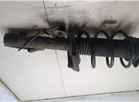 1595291, 1370820, 1370823 Амортизатор подвески Ford Focus 2 2008-2011 20864142 #5