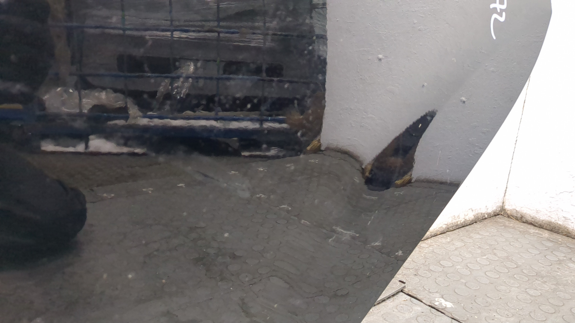 Дверь задняя левая