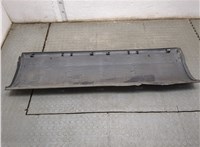 500326827, 500326829 Молдинг двери Iveco Daily 4 2005-2011 20866545 #7