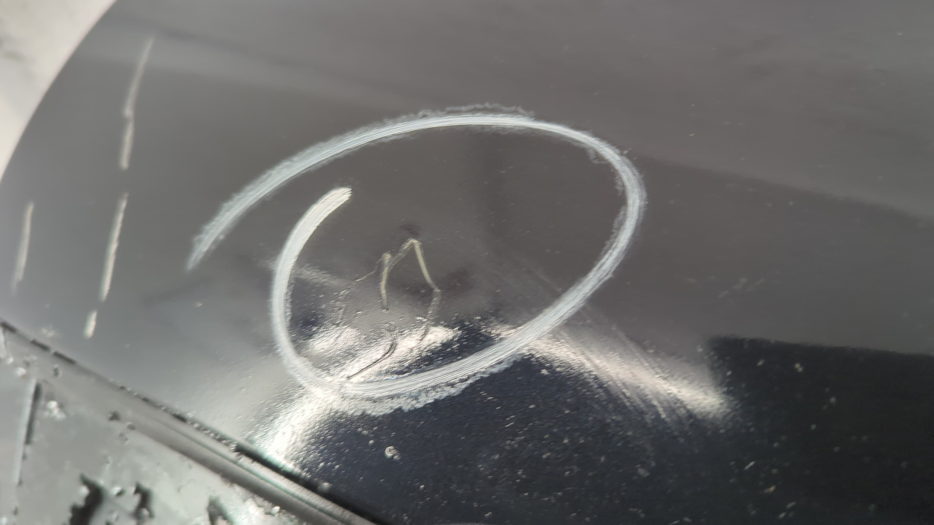 Дверь багажника