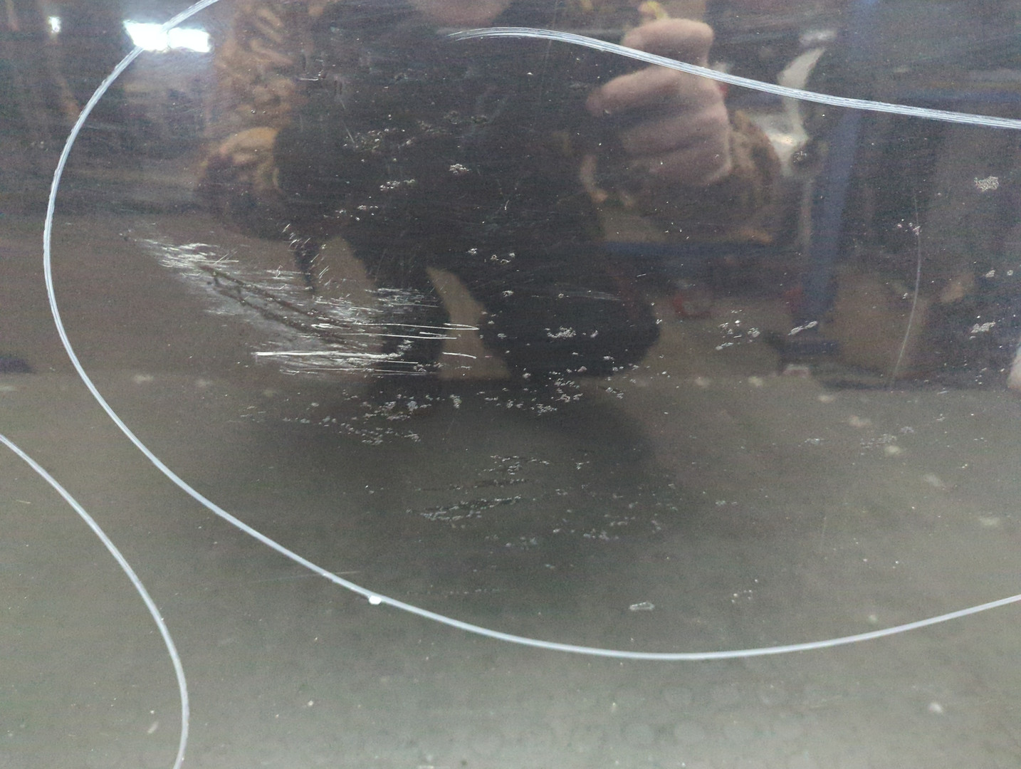 Дверь задняя левая