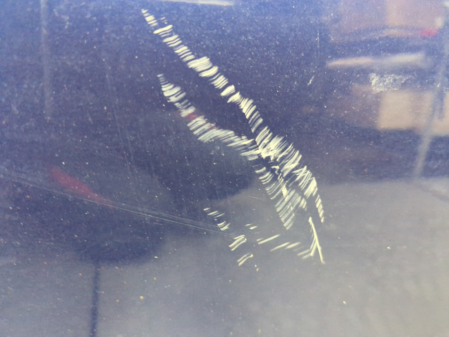 Дверь передняя левая