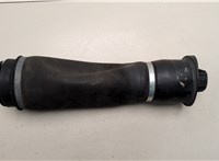 A2513200425 Пневмоподушка Mercedes R W251 2005-2017 20871090 #1