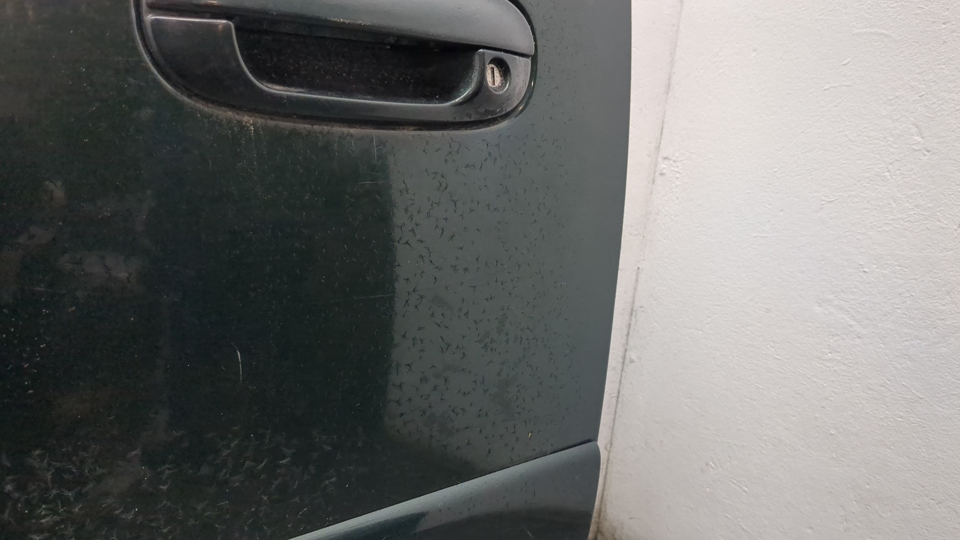 Дверь передняя левая