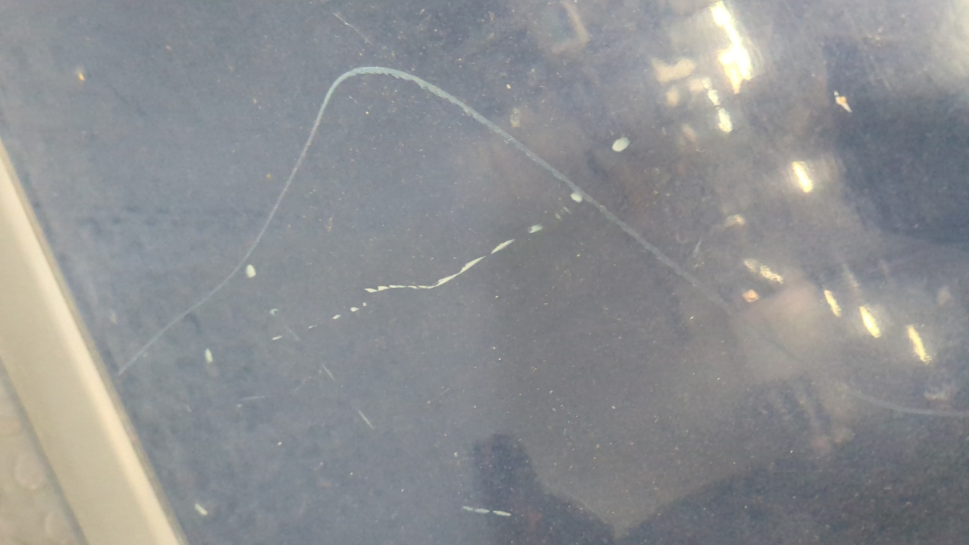 Дверь передняя левая