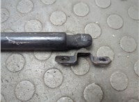 05054246AB Амортизатор капота Chrysler Pacifica 2003-2008 20872551 #4