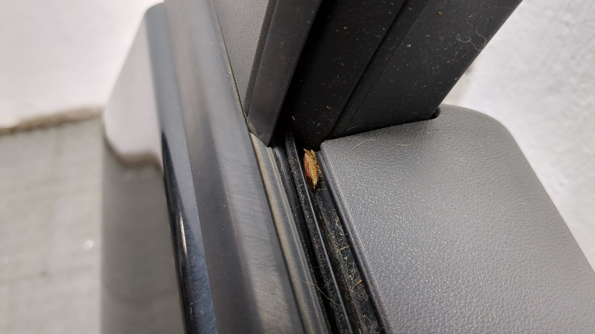 Дверь задняя левая