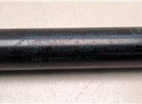 LJ6BS406A10AC Амортизатор крышки багажника Ford Escape 2019-2022 20874036 #2