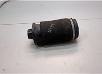 A1663200325 Пневмоподушка Mercedes GL X164 2006-2012 20874369 #1