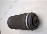 A1663200325 Пневмоподушка Mercedes GL X164 2006-2012 20874369 #3
