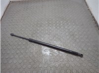 FB5Z78406A10B Амортизатор крышки багажника Ford Explorer 2015-2019 20874652 #1