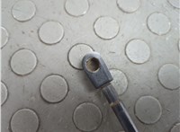 FB5Z78406A10B Амортизатор крышки багажника Ford Explorer 2015-2019 20874652 #3