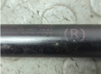 FB5Z78406A10B Амортизатор крышки багажника Ford Explorer 2015-2019 20874652 #4