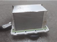  Радиатор интеркулера Dodge Hornet 2022-2025 20874905 #6