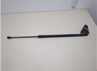 42756030 Амортизатор крышки багажника Chevrolet Trax 2023-2025 20875710 #1