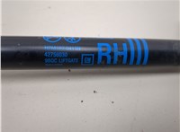 42756030 Амортизатор крышки багажника Chevrolet Trax 2023-2025 20875710 #5