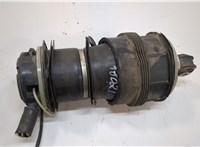 A2113201325 Пневмоподушка Mercedes CLS C219 2004-2010 20878237 #8