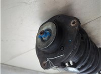 561413031L Амортизатор подвески Volkswagen Passat 2018-2022 USA 20878520 #6
