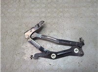 FR33, 6342701 Петля капота Ford Mustang 2017-2023 20879188 #1