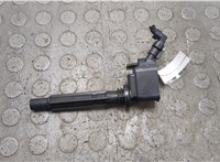 68211953AA Катушка зажигания Dodge Hornet 2022-2025 20879563 #1