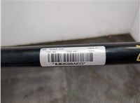 561411303 Стабилизатор подвески (поперечной устойчивости) Volkswagen Passat 2018-2022 USA 20881498 #2