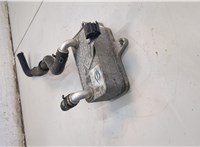09G409061E Теплообменник Volkswagen Passat 2018-2022 USA 20881995 #2