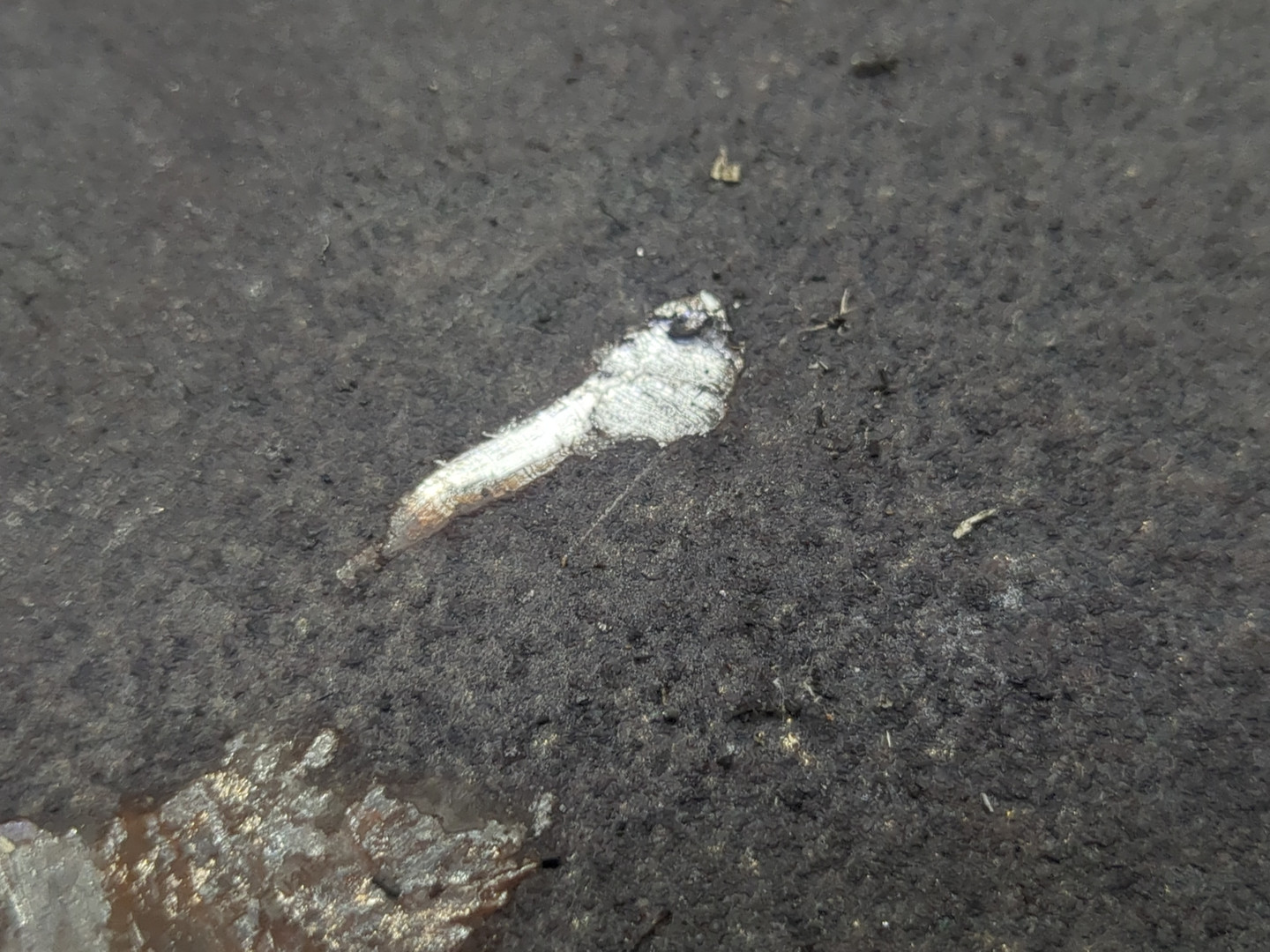 Шкив коленвала