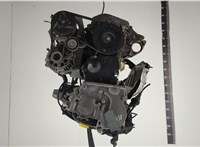 7701474414 Двигатель (ДВС) Renault Scenic 2003-2009 20884767 #1