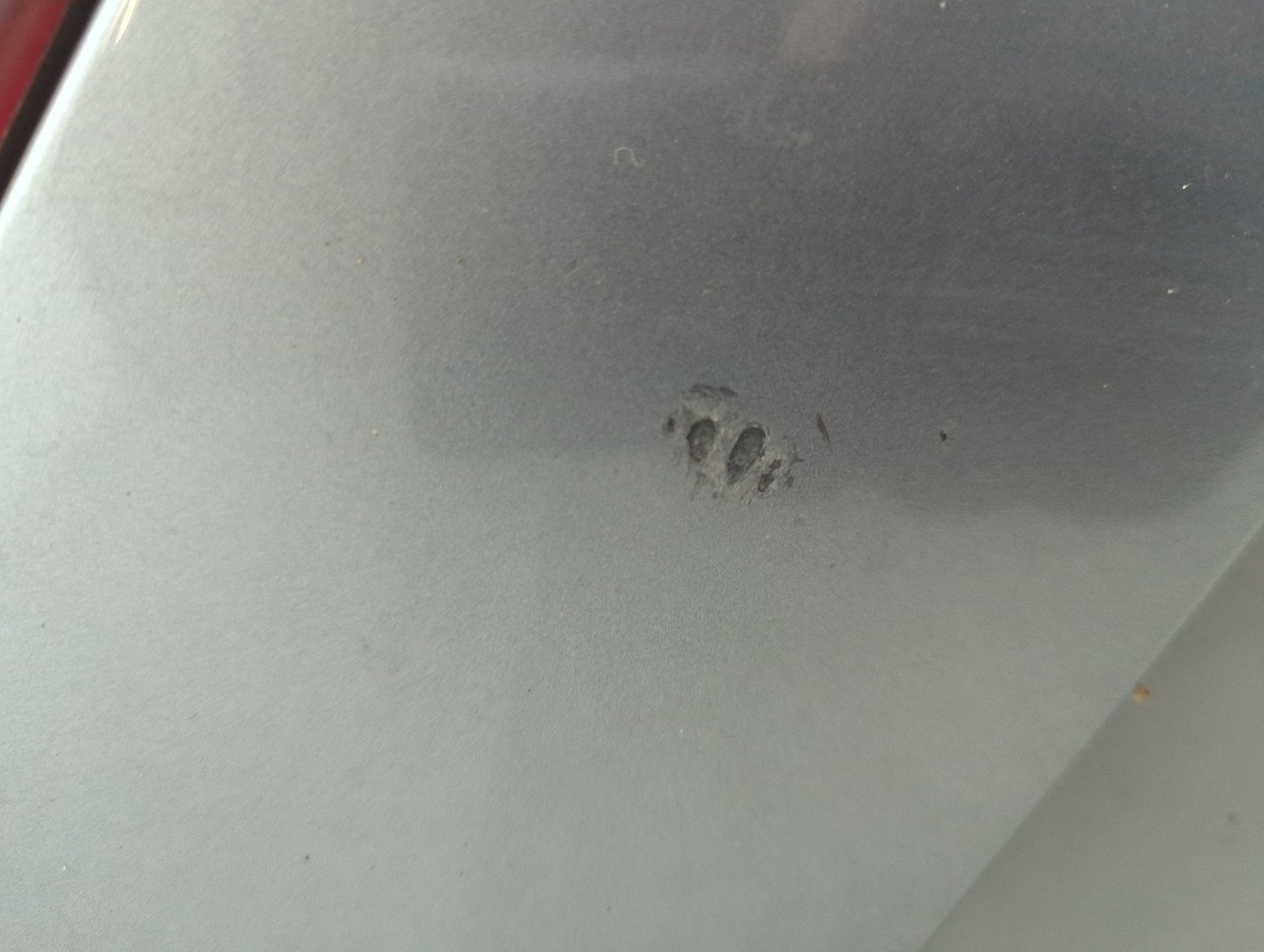 Дверь багажника