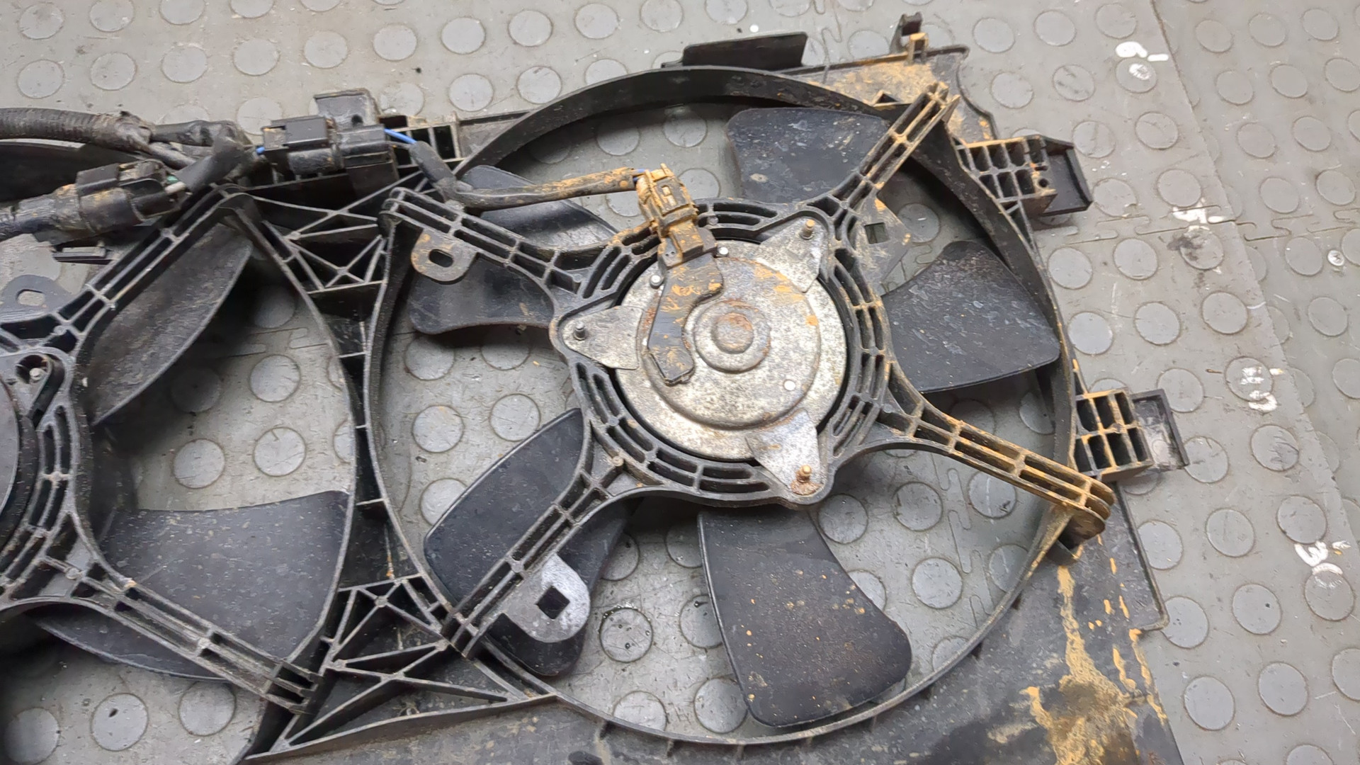 Вентилятор радиатора