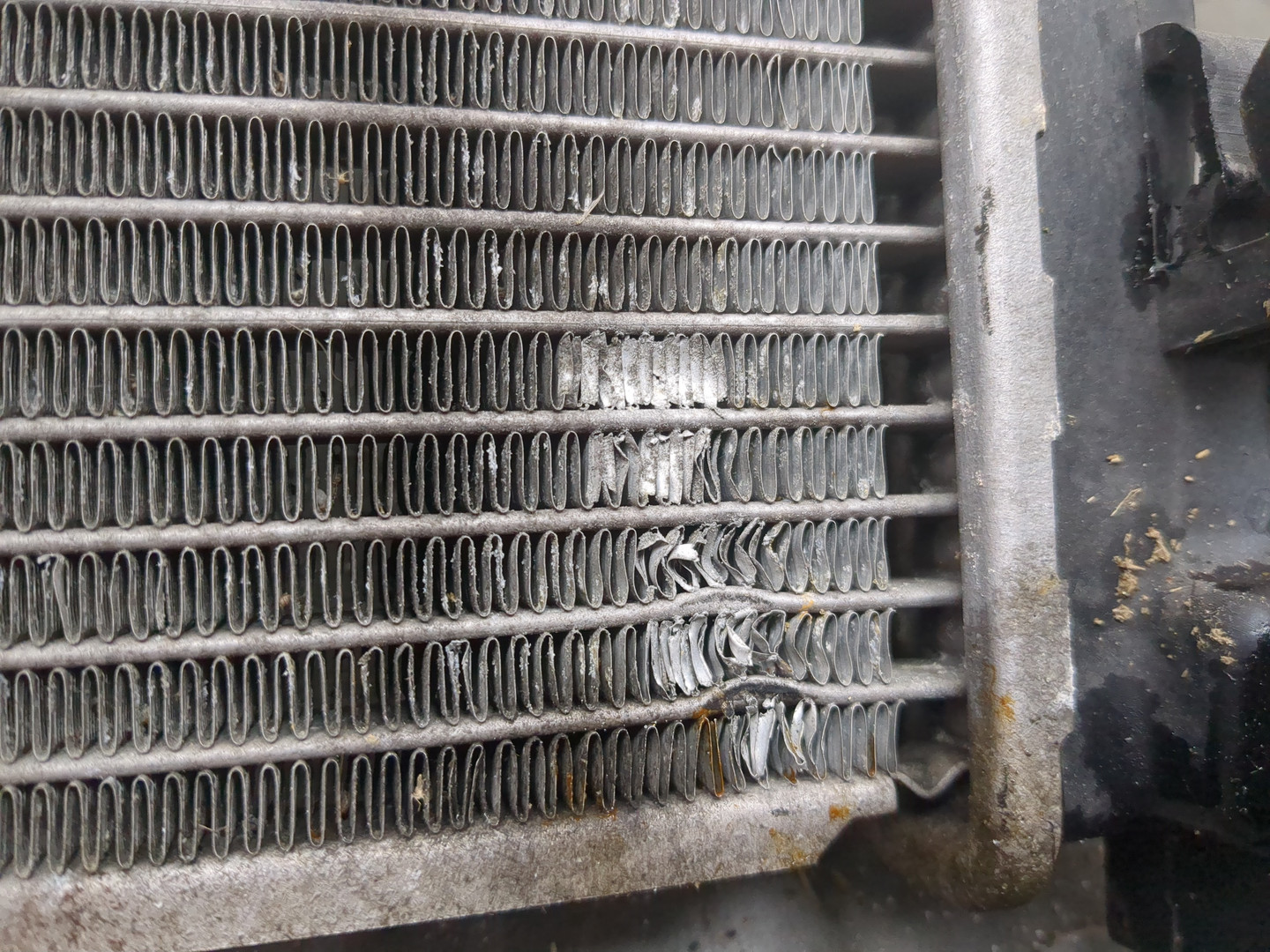 Радиатор охлаждения двигателя основной