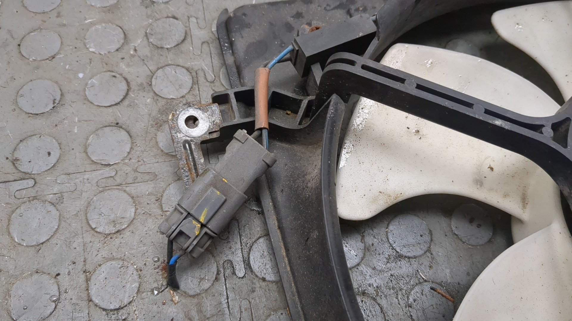 Вентилятор радиатора