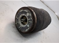 37121095579, 1095579 Пневмоподушка BMW X5 E53 2000-2006 20888009 #2